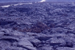 44055339802_0aedbe9709_z